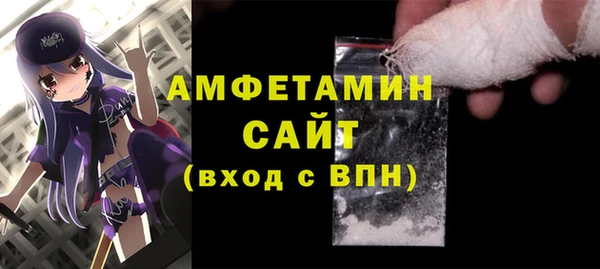 мет Алексин