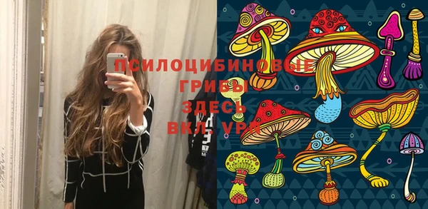 гидропоника Алзамай