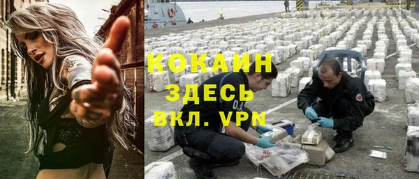мет Алексин