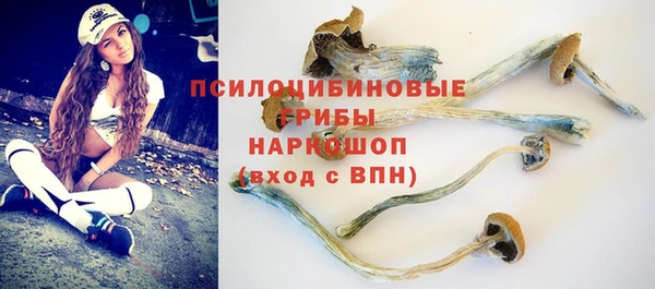 гидропоника Алзамай